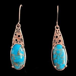 NWOT Turquoise Earrings